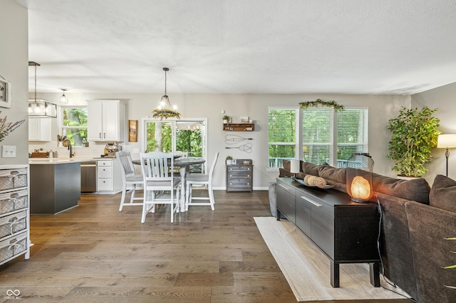 8612 Weaver Woods Pl, Fishers, IN 46038 - dining room with dark wood-style floors, a chandelier, and a textured ceiling