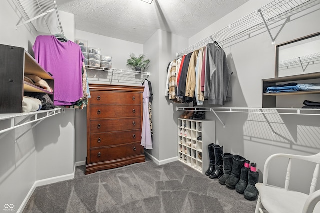 8612 Weaver Woods Pl, Fishers, IN 46038 - walk in closet featuring carpet flooring