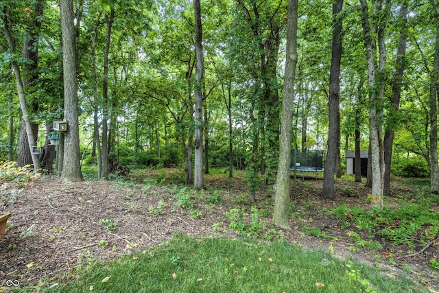8612 Weaver Woods Pl, Fishers, IN 46038 - view of nature