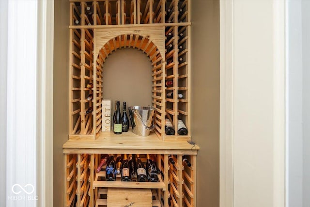 13023 Water Ridge Dr, Mccordsville, IN 46055 - wine room featuring a relaxing sauna