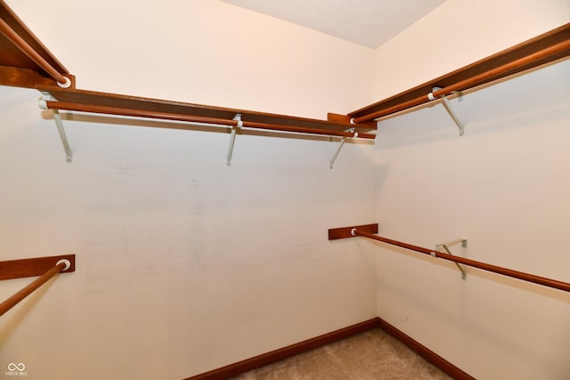 6137 Apache Dr, Indianapolis, IN 46254 - photo 33