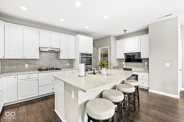 10868 Matherly Way, Noblesville, IN 46060 - kitchen featuring appliances with stainless steel finishes, under cabinet range hood, dark wood-type flooring, decorative backsplash, and recessed lighting