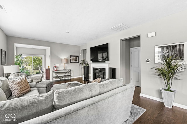10868 Matherly Way, Noblesville, IN 46060 - living area featuring a glass covered fireplace and dark wood-style floors