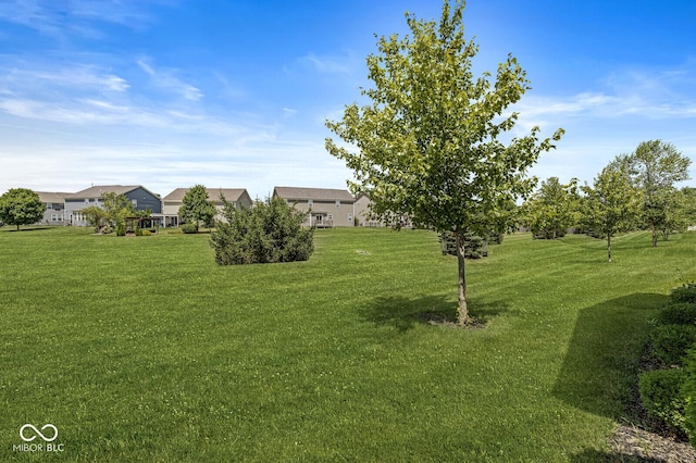 10868 Matherly Way, Noblesville, IN 46060 - view of grassy yard featuring a residential view
