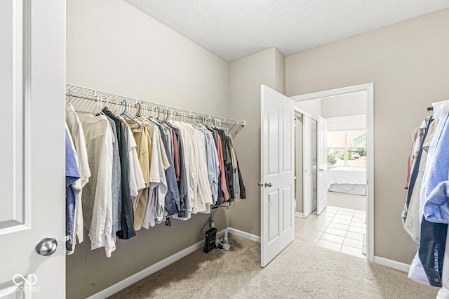 10868 Matherly Way, Noblesville, IN 46060 - walk in closet with carpet floors