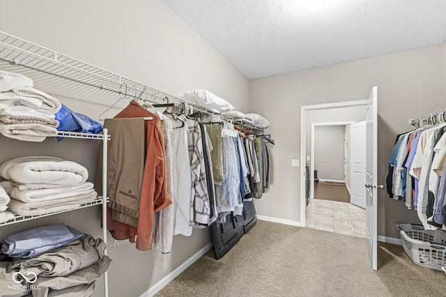 10868 Matherly Way, Noblesville, IN 46060 - walk in closet with carpet floors