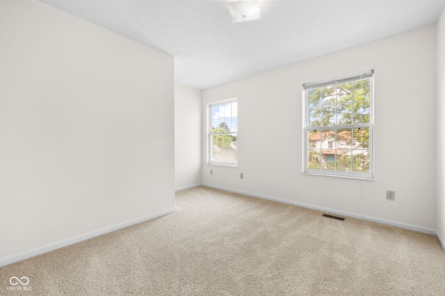 5941 Ann Marie Way, Indianapolis, IN 46254 - photo 29