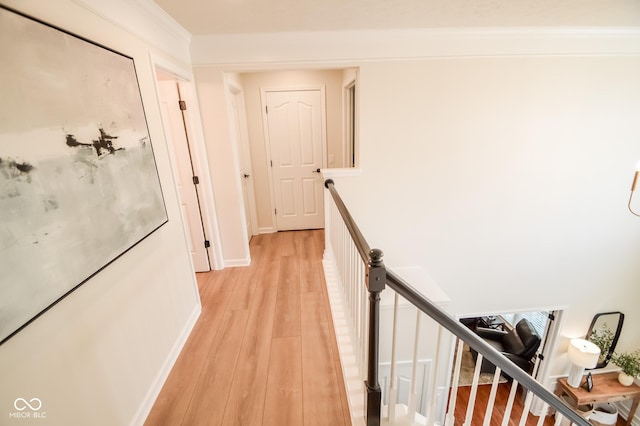 6802 Chorleywood Cir, Indianapolis, IN 46259 - corridor with an upstairs landing and light wood-style flooring