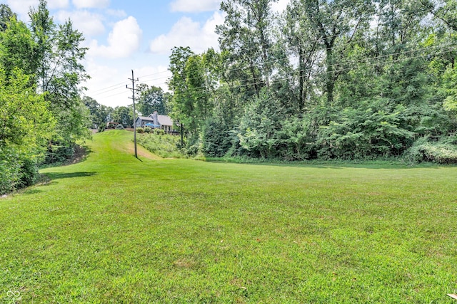 5052 Sherwood Ct, Pittsboro, IN 46167 - view of grassy yard