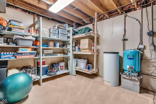 5052 Sherwood Ct, Pittsboro, IN 46167 - view of storage
