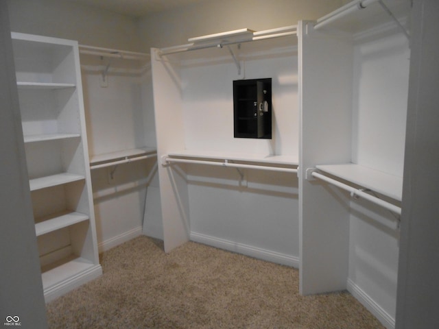 7653 W Old Colony Dr, New Palestine, IN 46163 - walk in closet with light colored carpet