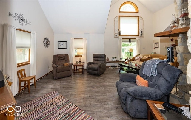 8546 N Chickadee Dr, Morgantown, IN 46160 - living room featuring high vaulted ceiling and wood finished floors