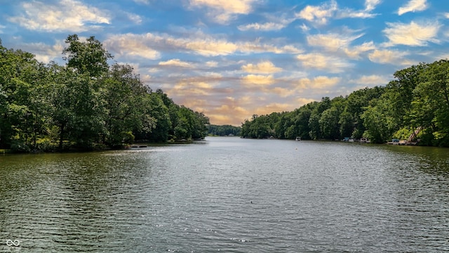 8546 N Chickadee Dr, Morgantown, IN 46160 - water view with a heavily wooded area