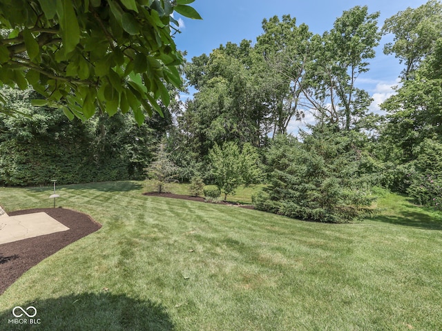 2025 Caledonian Ct, Greenwood, IN 46143 - view of green lawn