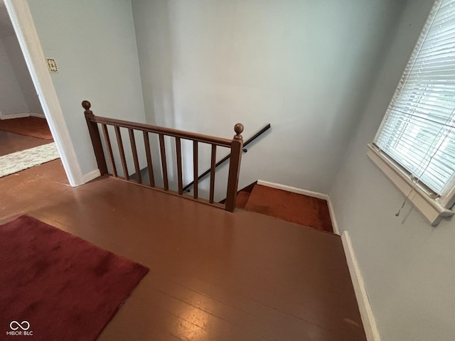 853 N Butler Ave, Indianapolis, IN 46219 - photo 43
