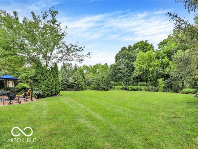 3808 Claybrook Ct, Bargersville, IN 46106 - view of grassy yard