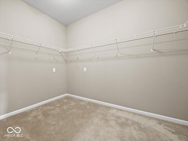 8750 Twain Ln, Indianapolis, IN 46239 - photo 26