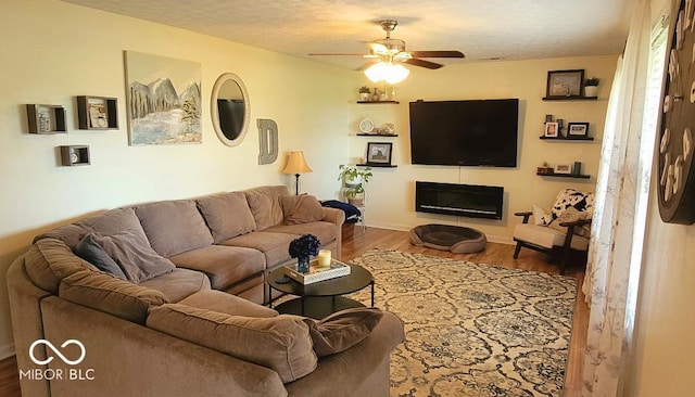 6974 S County Road 400 E, Clayton, IN 46118 - living room featuring ceiling fan, wood finished floors, and a glass covered fireplace