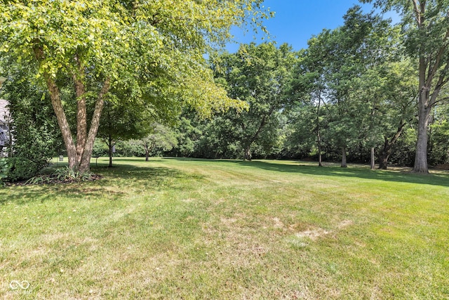 11463 Silver Moon Ct, Noblesville, IN 46060 - photo 70