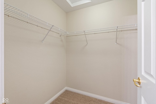 2824 Addison Meadows Ln, Indianapolis, IN 46203 - photo 21