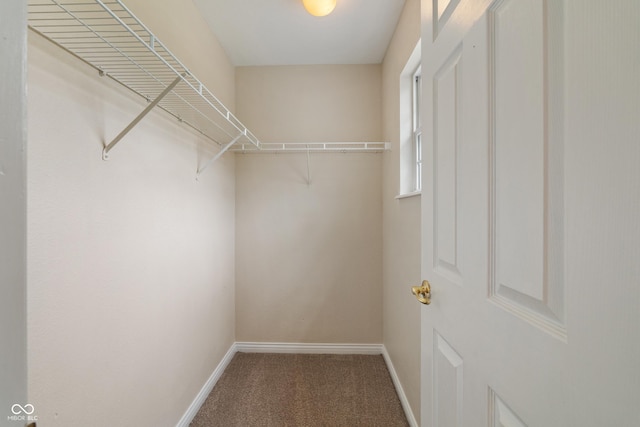 2824 Addison Meadows Ln, Indianapolis, IN 46203 - photo 27