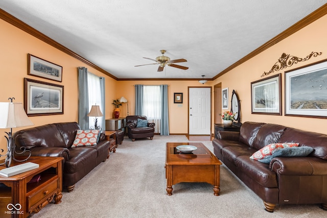 1204 Willow Springs Blvd, Brownsburg, IN 46112 - photo 4