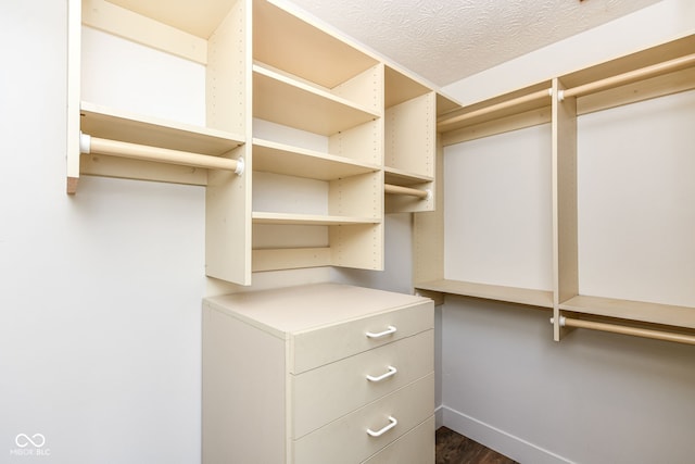 6413 Amber Pass, Plainfield, IN 46168 - spacious closet featuring dark wood-style floors