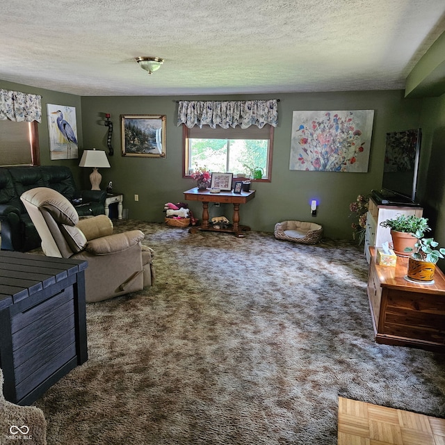 681 Hancock School Rd, Spencer, IN 47460 - living area featuring carpet flooring and a textured ceiling