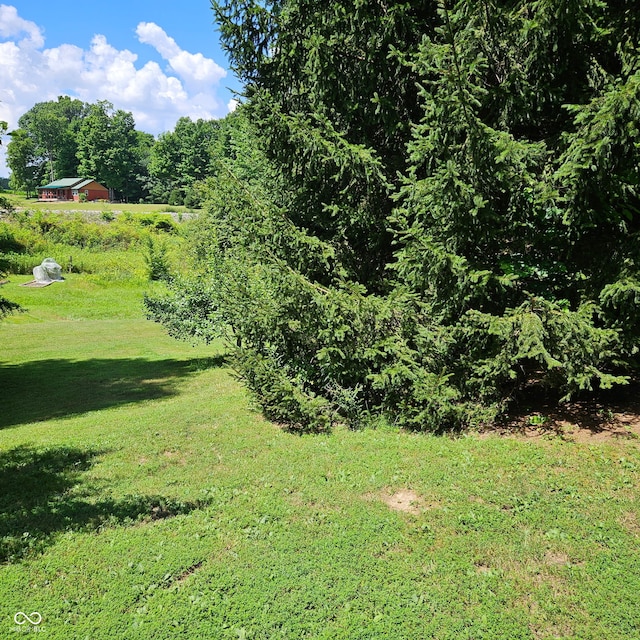 681 Hancock School Rd, Spencer, IN 47460 - view of green lawn
