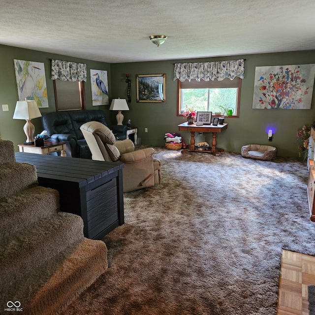 681 Hancock School Rd, Spencer, IN 47460 - carpeted living room with a textured ceiling
