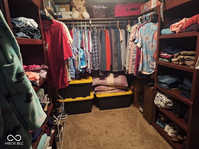 681 Hancock School Rd, Spencer, IN 47460 - walk in closet featuring carpet flooring