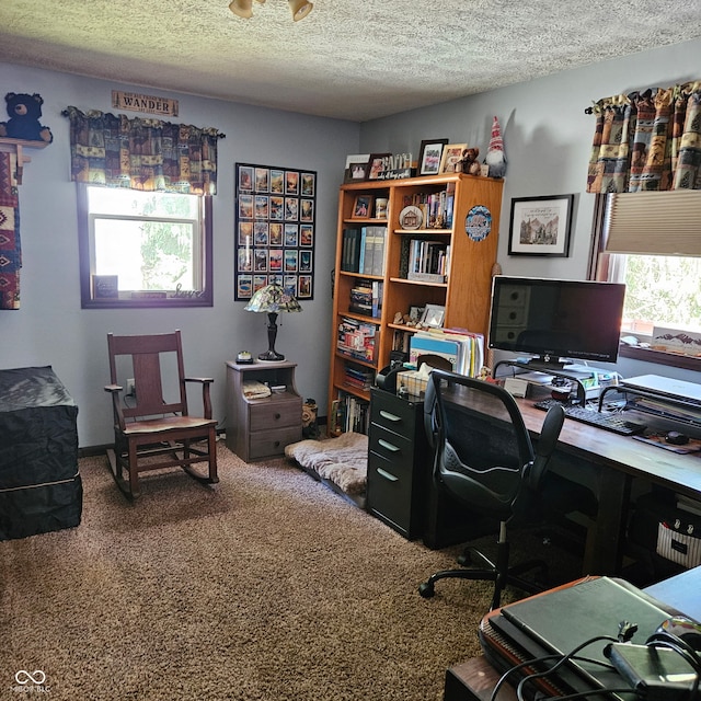 681 Hancock School Rd, Spencer, IN 47460 - home office featuring carpet and a textured ceiling