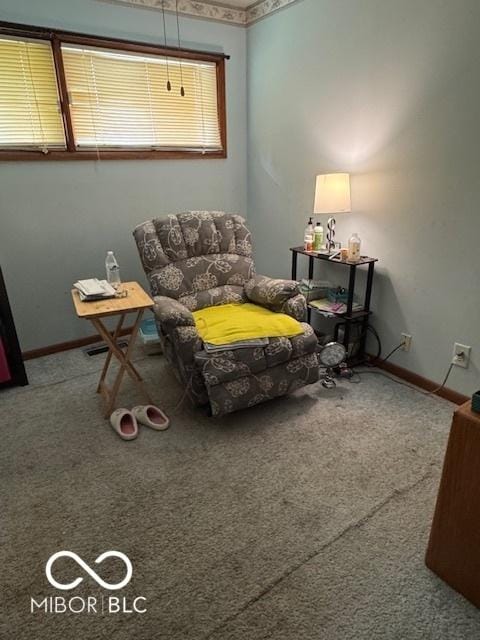 living area with carpet floors