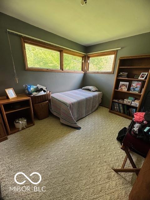 bedroom with carpet floors