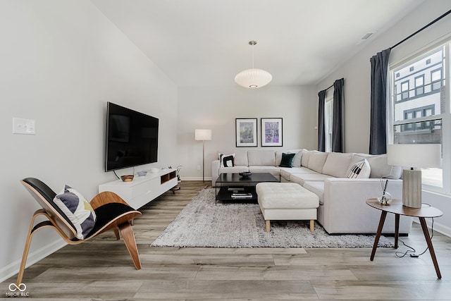 9732 Junction, Fishers, IN 46037 - living room featuring baseboards and wood finished floors