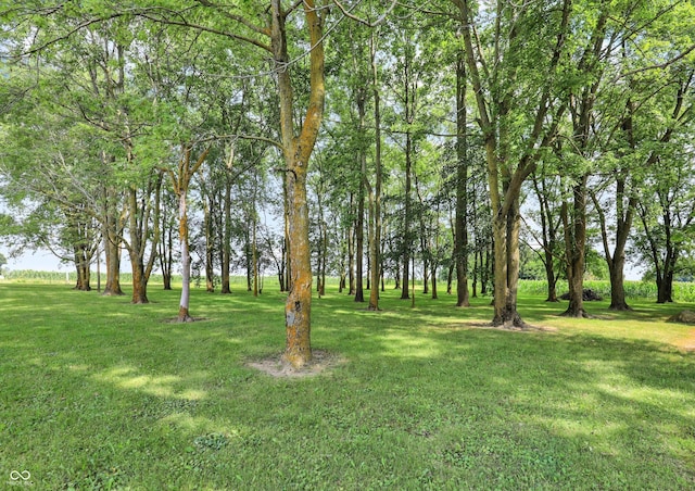 10335 E 750 N, Sheridan, IN 46069 - photo 5