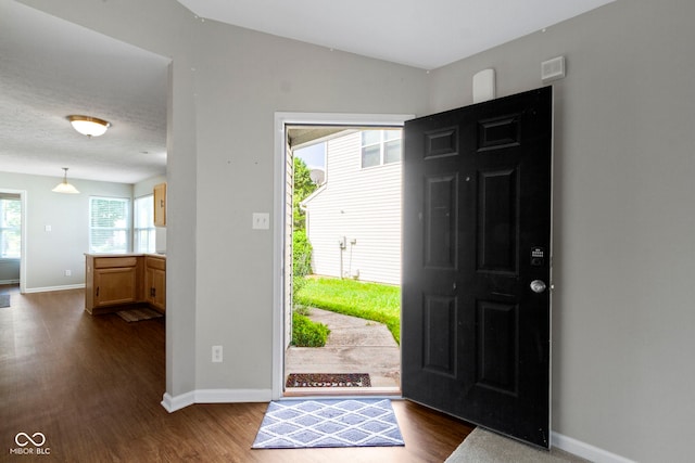11426 High Grass Dr, Indianapolis, IN 46235 - foyer with dark wood-type flooring and lofted ceiling