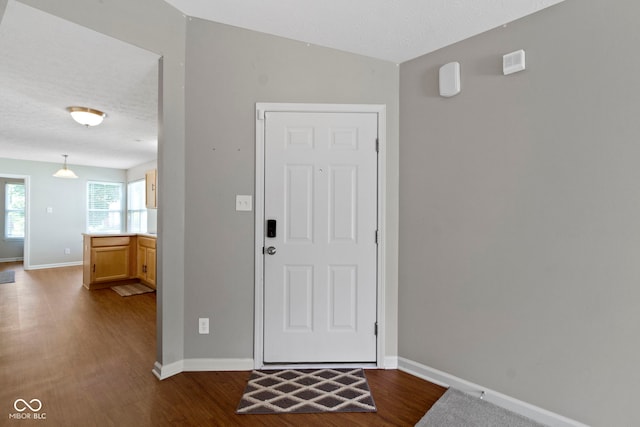 11426 High Grass Dr, Indianapolis, IN 46235 - foyer entrance featuring dark wood-style flooring and vaulted ceiling