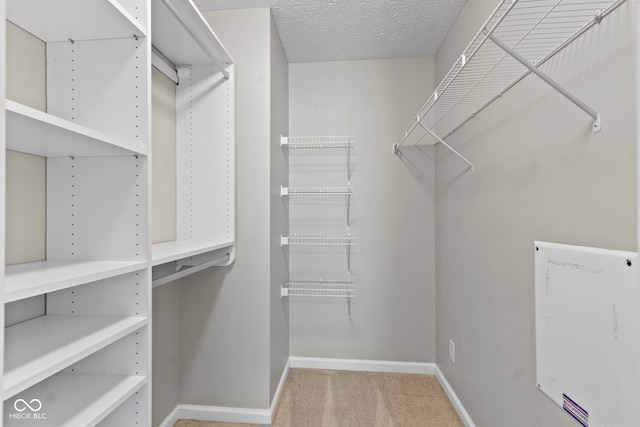 11426 High Grass Dr, Indianapolis, IN 46235 - spacious closet with carpet floors