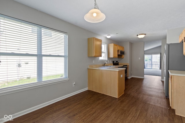 11426 High Grass Dr, Indianapolis, IN 46235 - kitchen featuring stainless steel appliances, dark wood-style flooring, light countertops, a peninsula, and light brown cabinetry