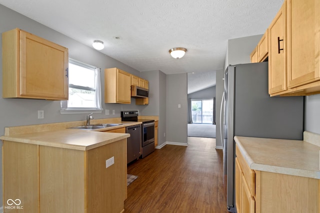 11426 High Grass Dr, Indianapolis, IN 46235 - kitchen featuring stainless steel appliances, light brown cabinetry, a peninsula, a textured ceiling, and dark wood-style flooring
