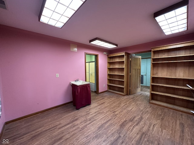 2765 S 1200 E, Zionsville, IN 46077 - walk in closet featuring wood finished floors and a sink