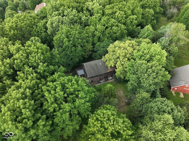 2765 S 1200 E, Zionsville, IN 46077 - view from above of property