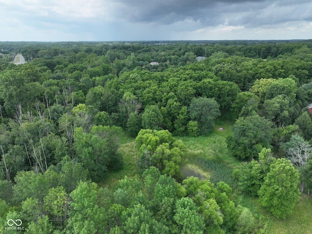 2765 S 1200 E, Zionsville, IN 46077 - drone / aerial view of a heavily wooded area