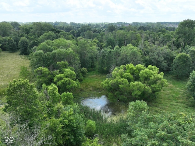 2765 S 1200 E, Zionsville, IN 46077 - bird's eye view