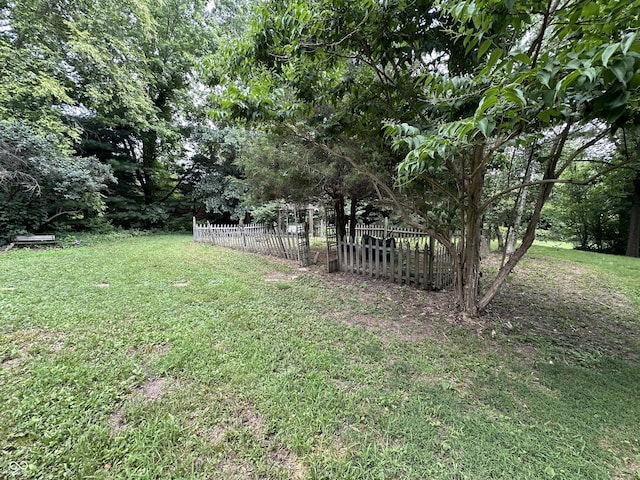 2765 S 1200 E, Zionsville, IN 46077 - view of yard