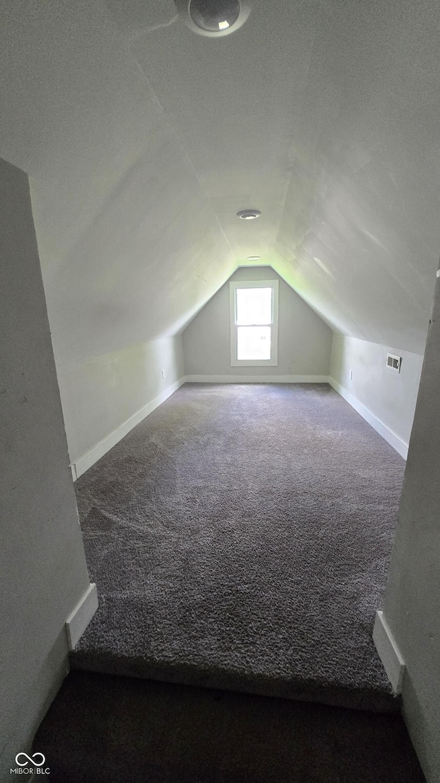 1805 S Denny St, Indianapolis, IN 46203 - additional living space featuring vaulted ceiling and carpet floors