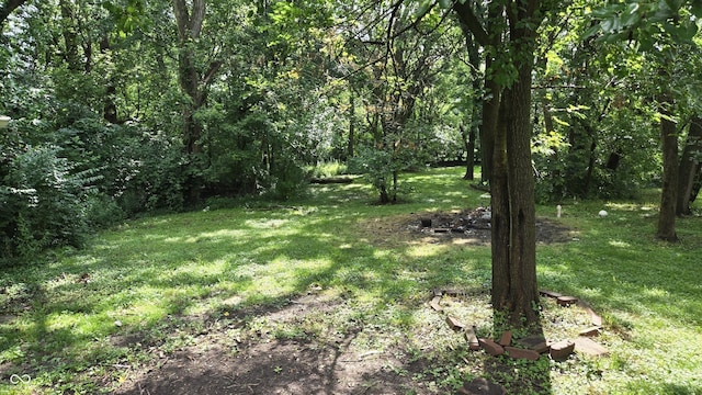 1805 S Denny St, Indianapolis, IN 46203 - view of grassy yard with a wooded view