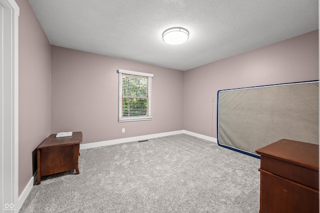 173 W Lakeview Dr, Nineveh, IN 46164 - unfurnished office featuring carpet flooring and a textured ceiling