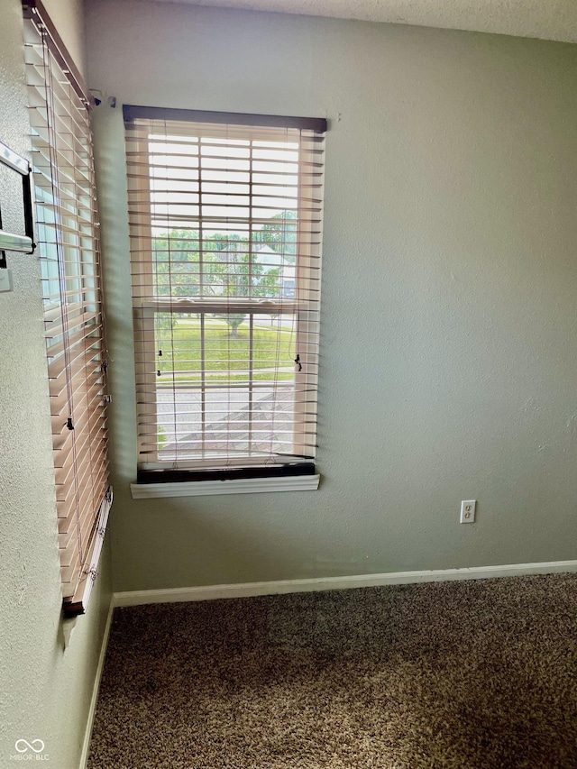 321 Timber Glenn Way, Indianapolis, IN 46241 - photo 43